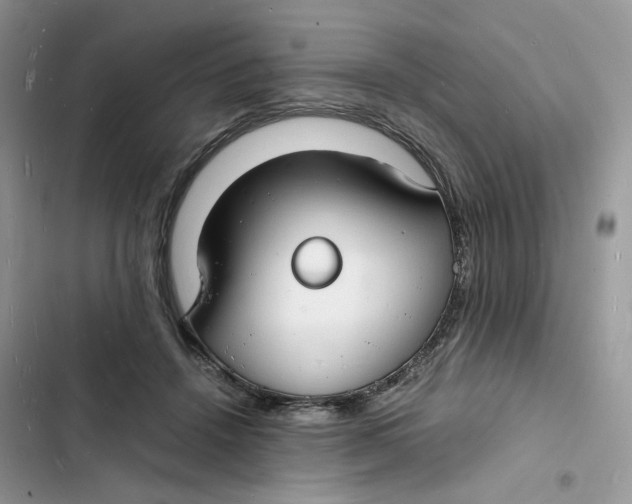 X0000103290456200809191834