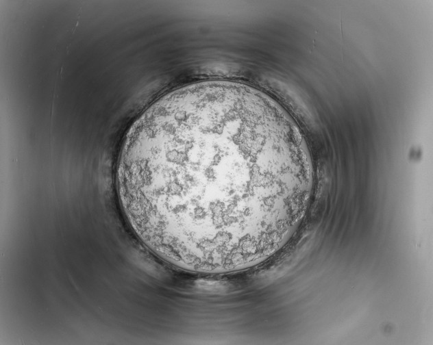 X0000103290457200809191834