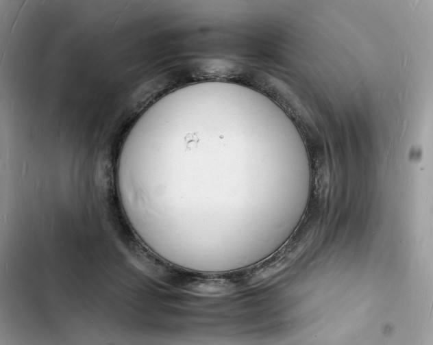 X0000103290459200809191834