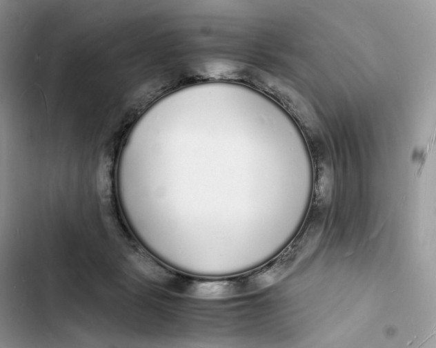 X0000103290461200809191834