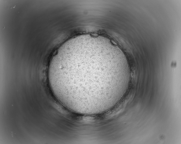 X0000103290462200809191834