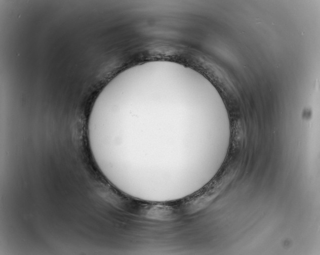 X0000103290463200809191834