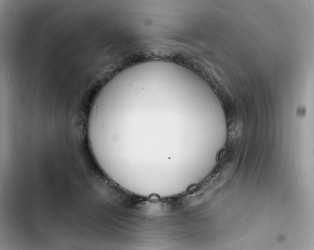 X0000103290464200809191834