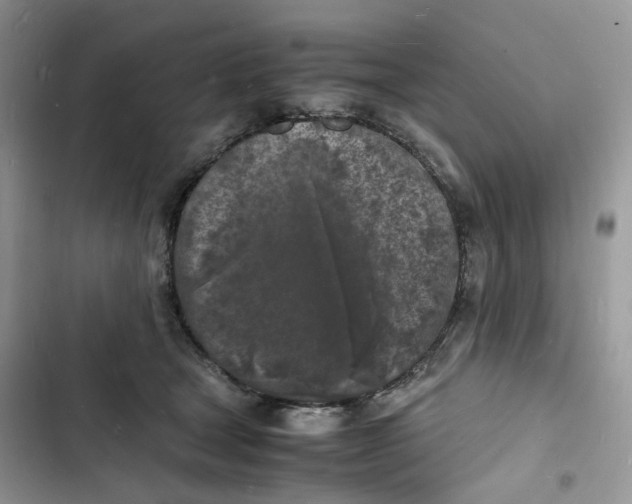 X0000103290465200809191834