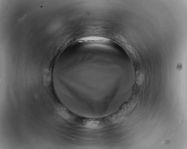 X0000103290471200809191834