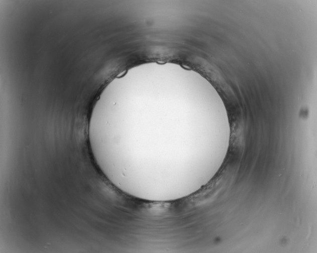 X0000103290474200809191834