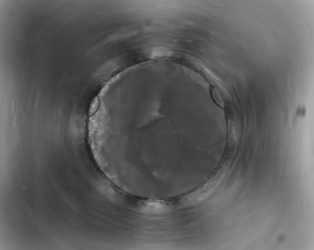 X0000103290475200809191835