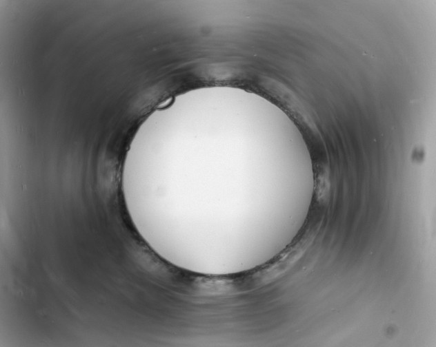 X0000103290476200809191835