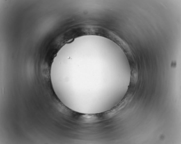 X0000103290477200809191835