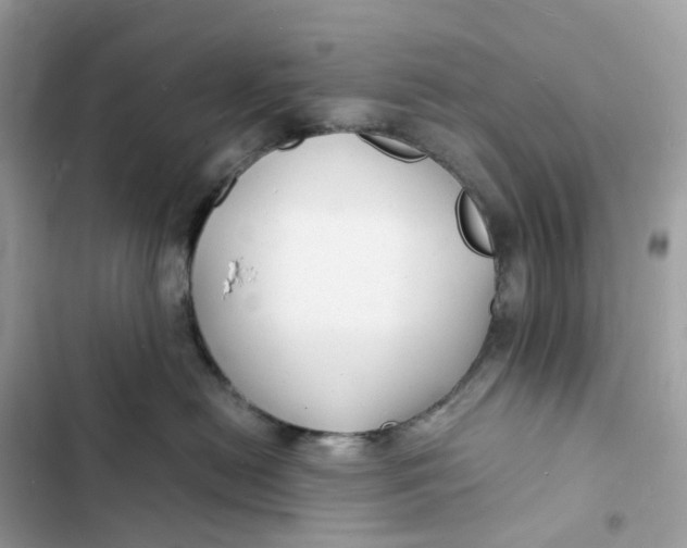 X0000103290478200809191835