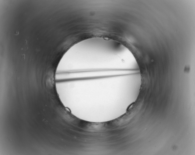 X0000103290479200809191835