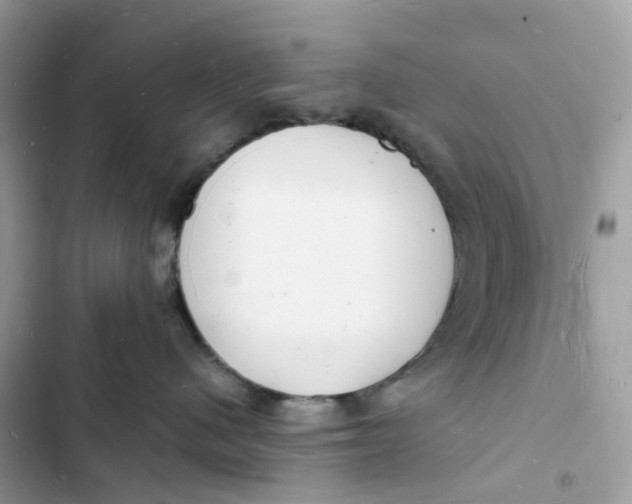 X0000103290480200809191835