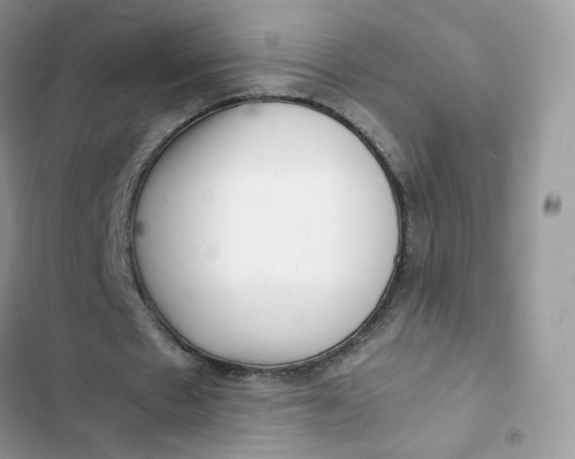 X0000103290481200809191834