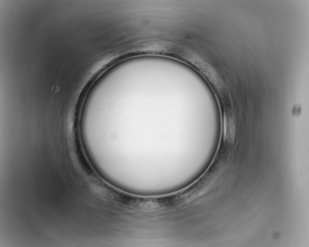 X0000103290483200809191834