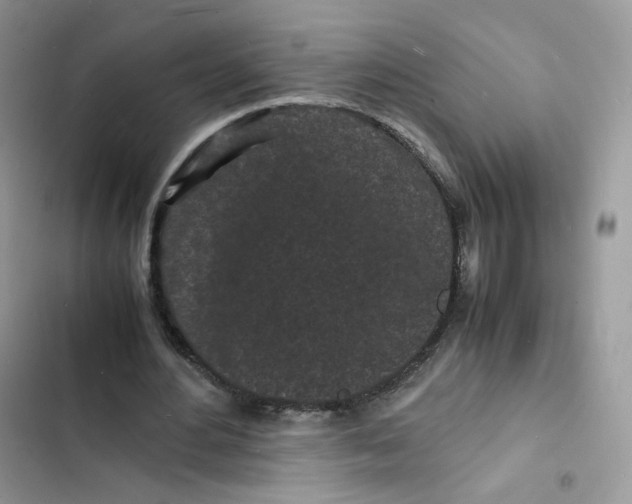 X0000103290484200809191834