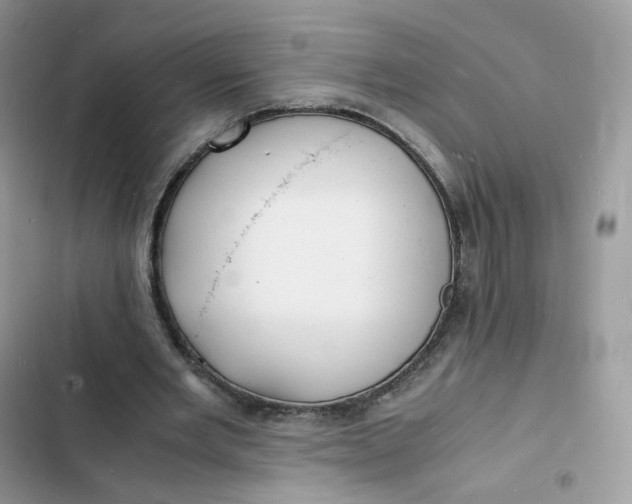 X0000103290485200809191834