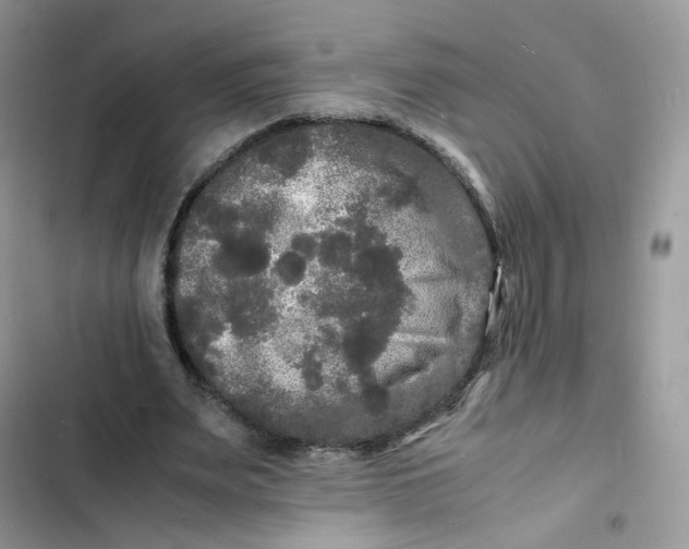 X0000103290487200809191834