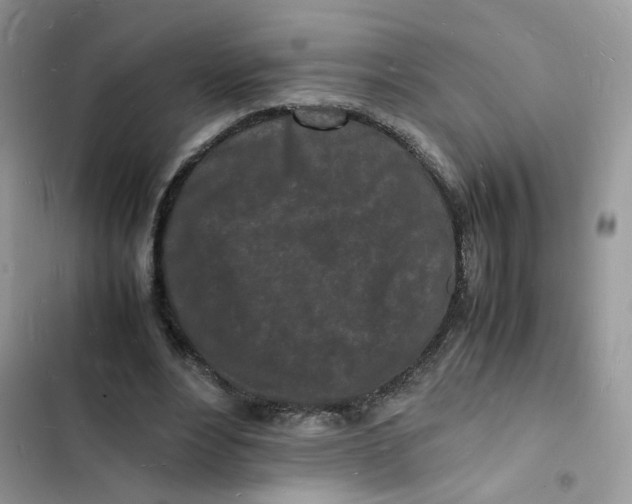 X0000103290488200809191834