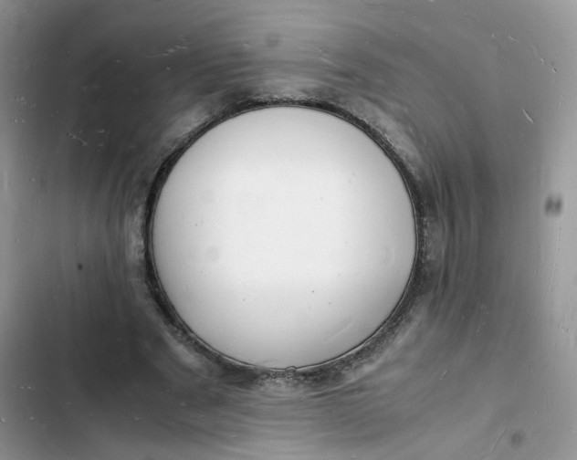 X0000103290489200809191834