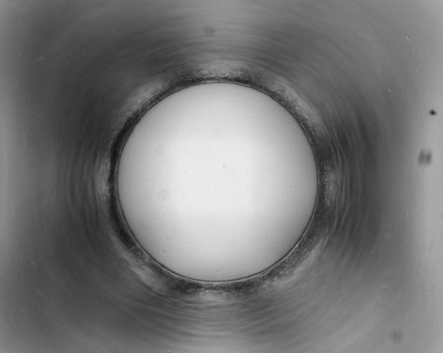 X0000103290490200809191834