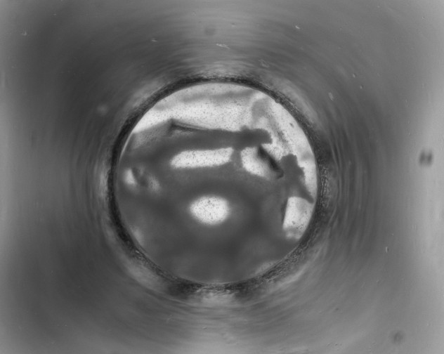 X0000103290491200809191834