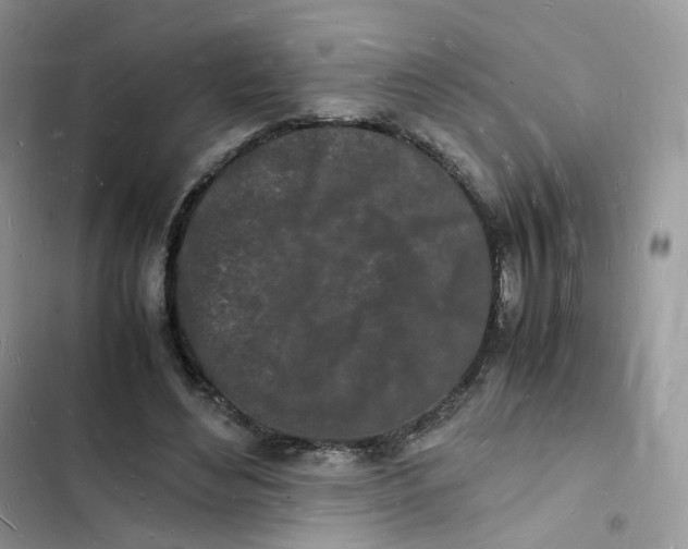 X0000103290492200809191834