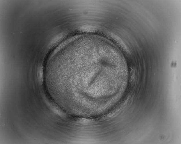 X0000103290494200809191834