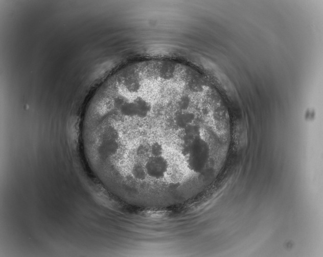 X0000103290495200809191834