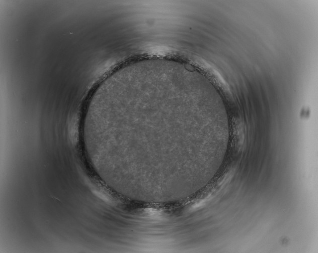 X0000103290496200809191834