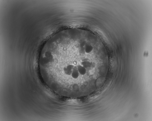 X0000103290499200809191834