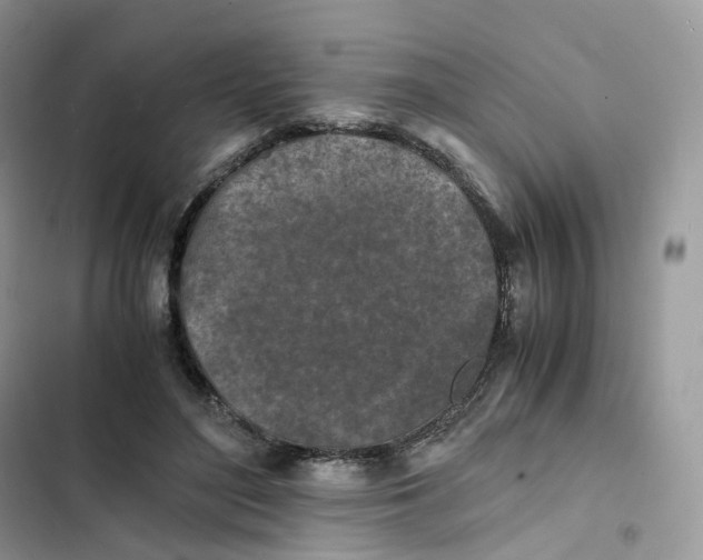 X0000103290500200809191834