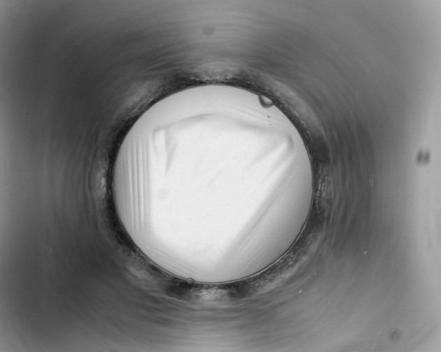 X0000103290501200809191834