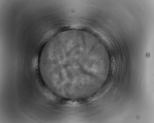 X0000103290502200809191834