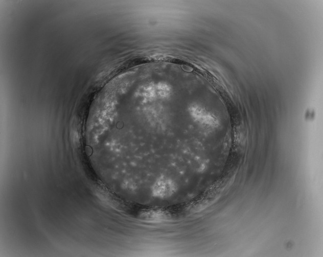 X0000103290503200809191834