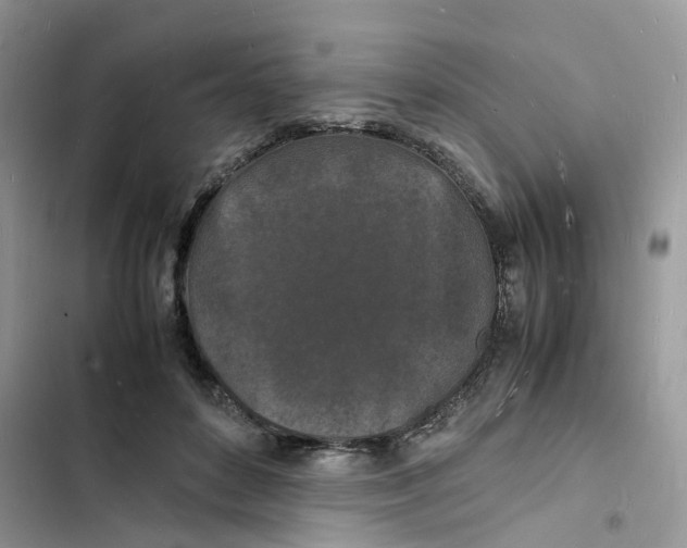 X0000103290504200809191834