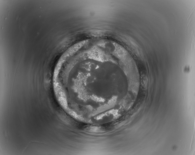 X0000103290507200809191834