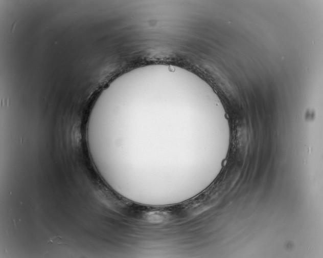 X0000103290508200809191834