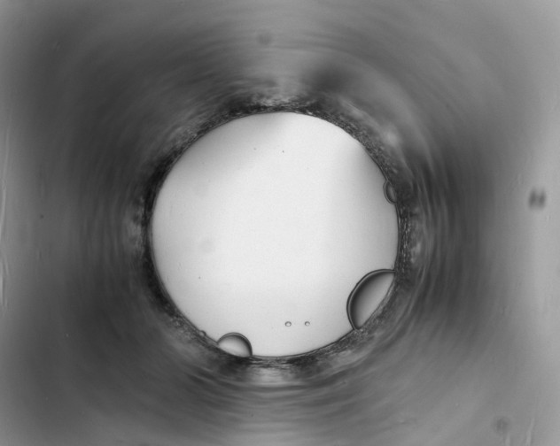 X0000103290510200809191834