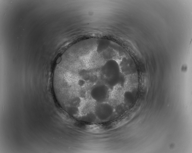 X0000103290511200809191834