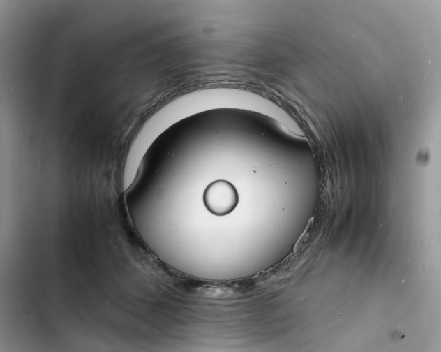 X0000103290512200809191833