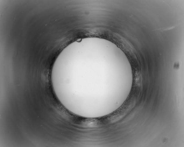 X0000103290514200809191833