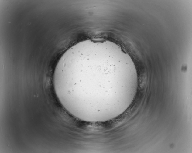 X0000103290515200809191833