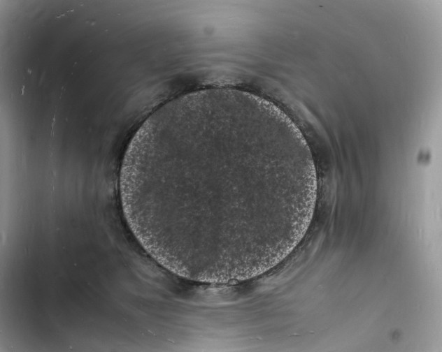 X0000103290517200809191833