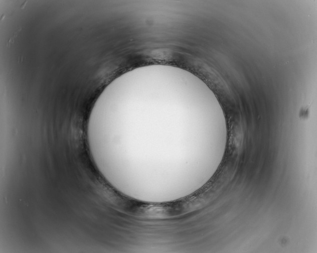 X0000103290518200809191833