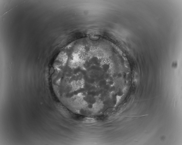 X0000103290519200809191833