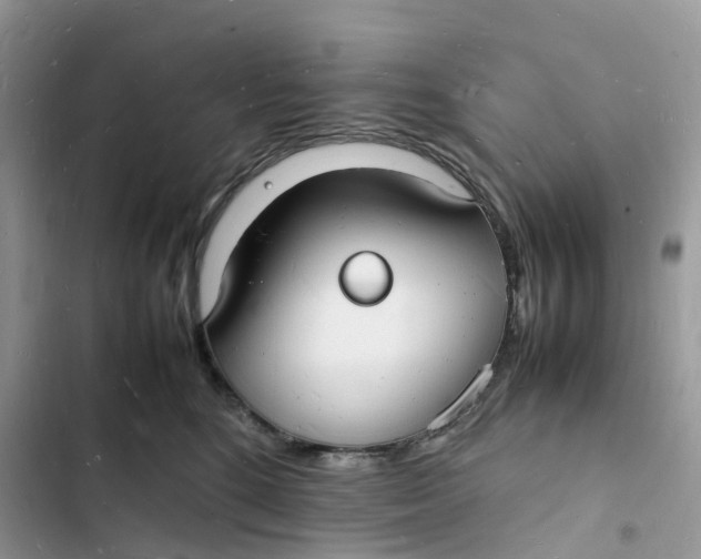 X0000103290520200809191833