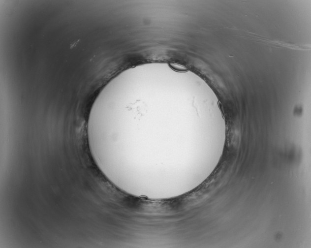 X0000103290521200809191833