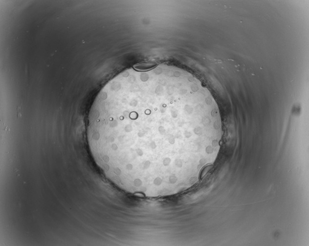 X0000103290523200809191833