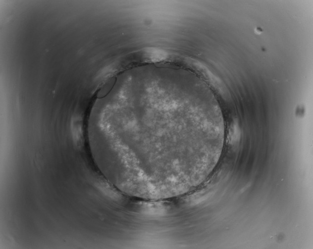 X0000103290524200809191833