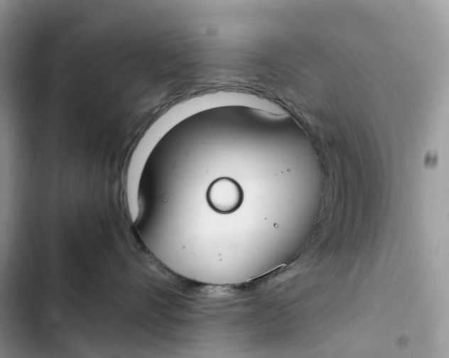 X0000103290528200809191833